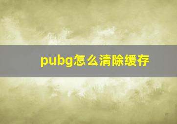 pubg怎么清除缓存