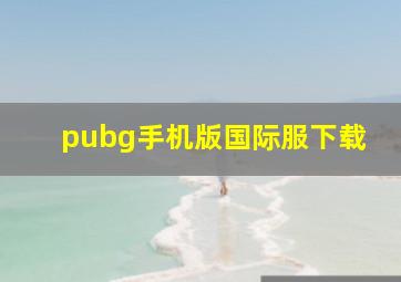 pubg手机版国际服下载