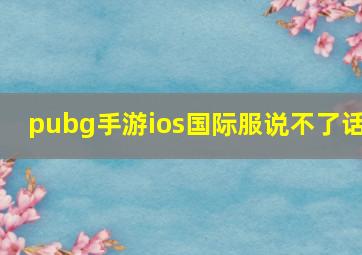 pubg手游ios国际服说不了话