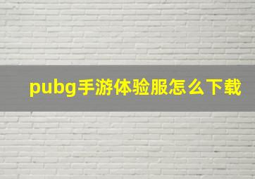 pubg手游体验服怎么下载