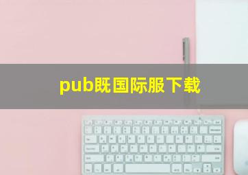 pub既国际服下载