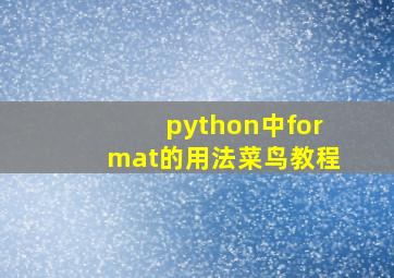 python中format的用法菜鸟教程