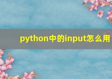 python中的input怎么用