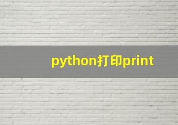 python打印print