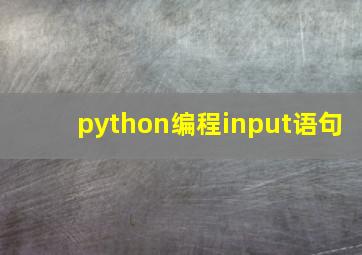 python编程input语句