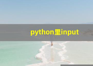 python里input