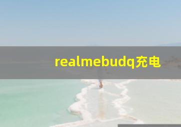 realmebudq充电