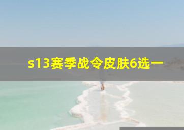 s13赛季战令皮肤6选一