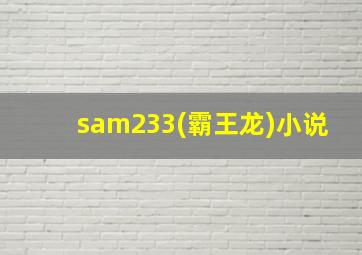 sam233(霸王龙)小说