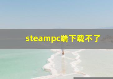 steampc端下载不了