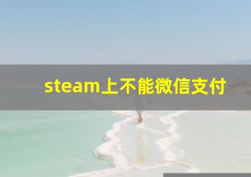 steam上不能微信支付