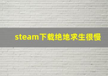 steam下载绝地求生很慢