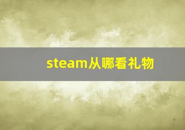 steam从哪看礼物