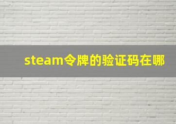 steam令牌的验证码在哪