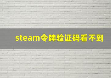 steam令牌验证码看不到