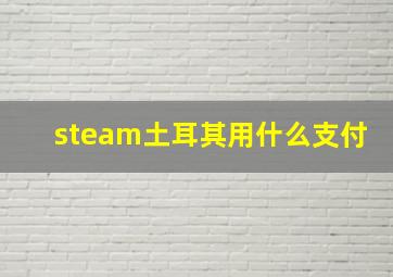 steam土耳其用什么支付