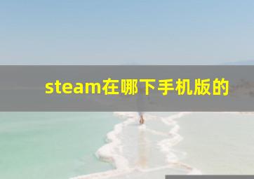 steam在哪下手机版的