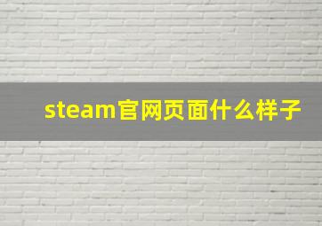 steam官网页面什么样子