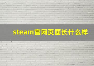 steam官网页面长什么样