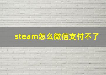 steam怎么微信支付不了