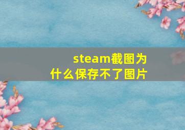 steam截图为什么保存不了图片