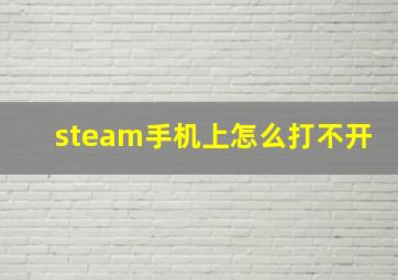 steam手机上怎么打不开