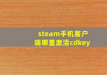 steam手机客户端哪里激活cdkey