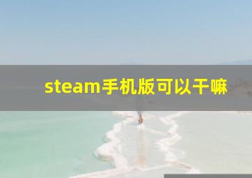 steam手机版可以干嘛