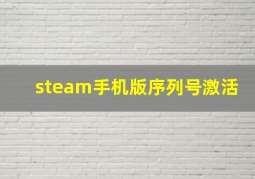 steam手机版序列号激活