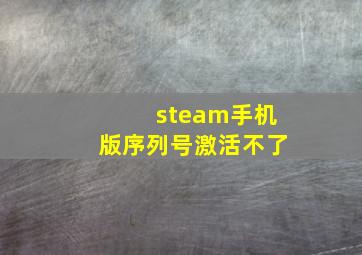 steam手机版序列号激活不了