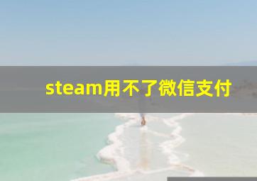 steam用不了微信支付