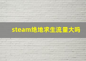 steam绝地求生流量大吗