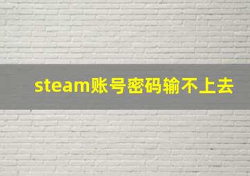 steam账号密码输不上去