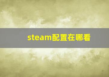 steam配置在哪看