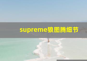 supreme狼图腾细节