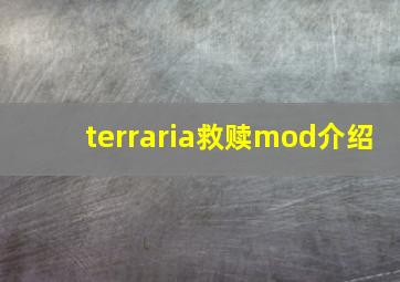 terraria救赎mod介绍