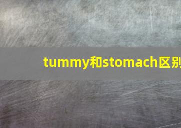 tummy和stomach区别