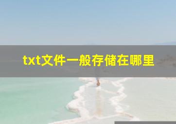 txt文件一般存储在哪里