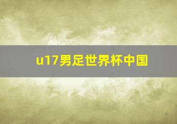 u17男足世界杯中国