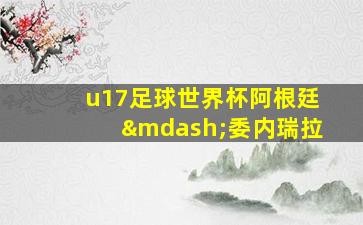 u17足球世界杯阿根廷—委内瑞拉