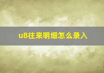 u8往来明细怎么录入