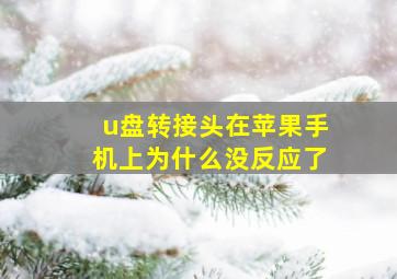 u盘转接头在苹果手机上为什么没反应了