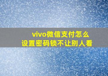 vivo微信支付怎么设置密码锁不让别人看