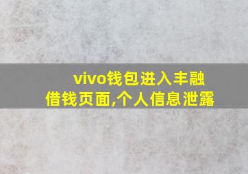 vivo钱包进入丰融借钱页面,个人信息泄露