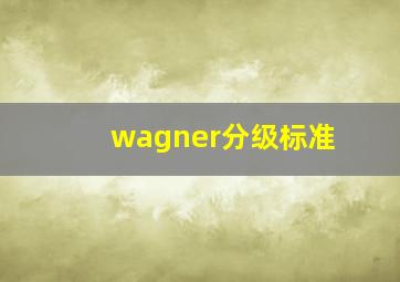 wagner分级标准