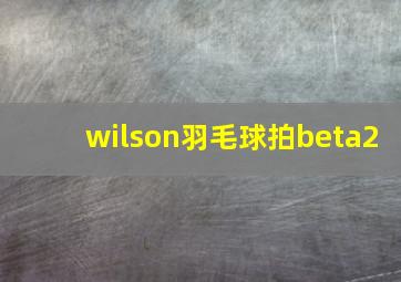 wilson羽毛球拍beta2