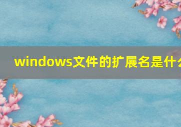 windows文件的扩展名是什么