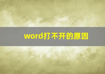 word打不开的原因