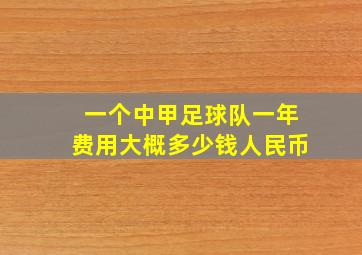 一个中甲足球队一年费用大概多少钱人民币