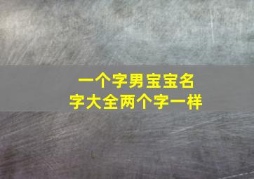 一个字男宝宝名字大全两个字一样